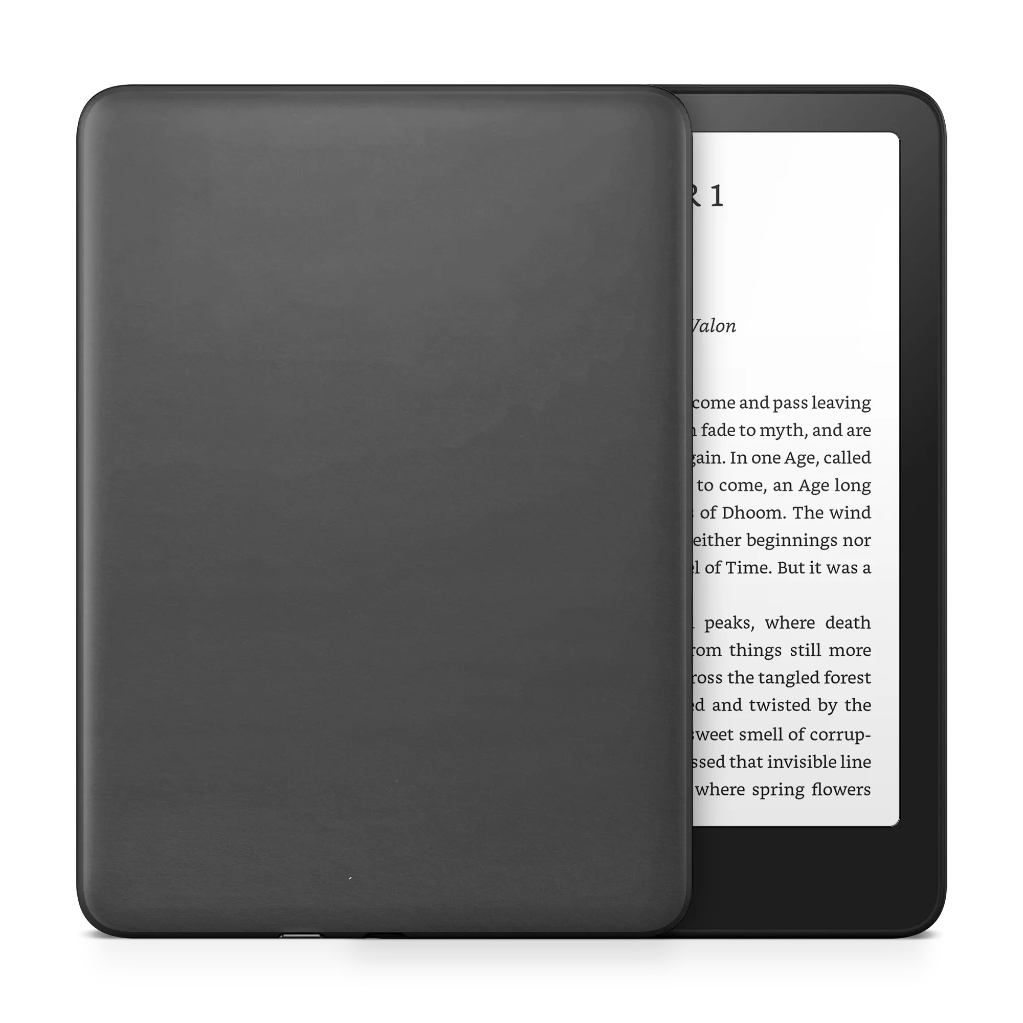 Amazon Kindle 11th Gen 6" (2024) Skins - Image 11