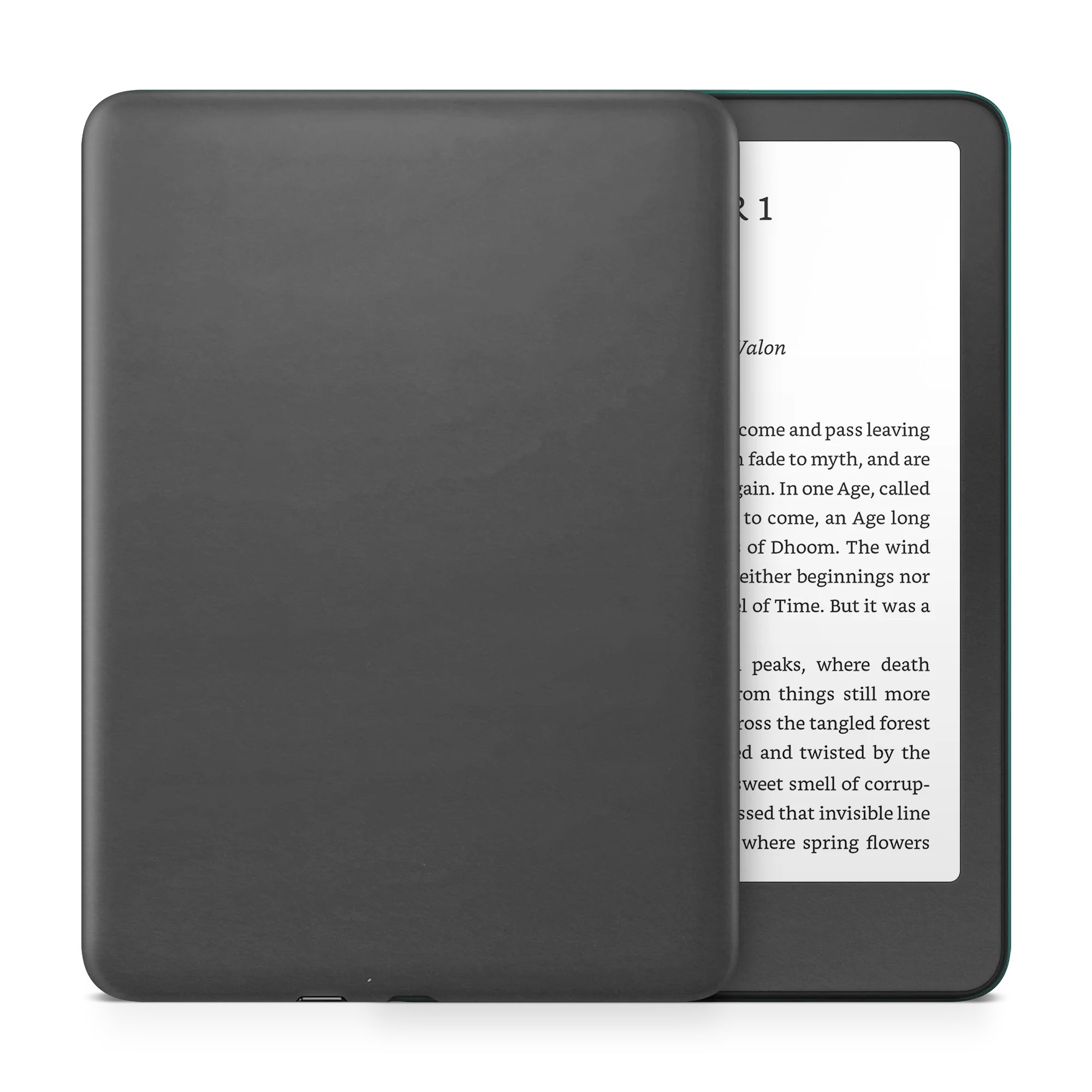Amazon Kindle 11th Gen 6" (2024) Skins - Image 26