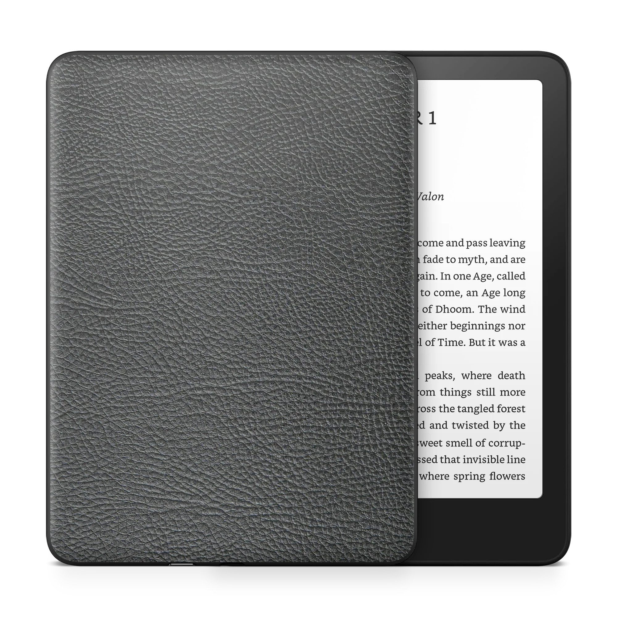 Amazon Kindle 11th Gen 6" (2024) Skins - Image 4
